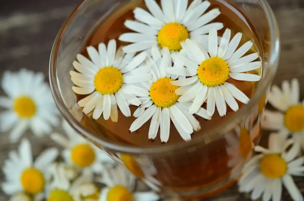 Made From Earth Chamomile Eye Therapy