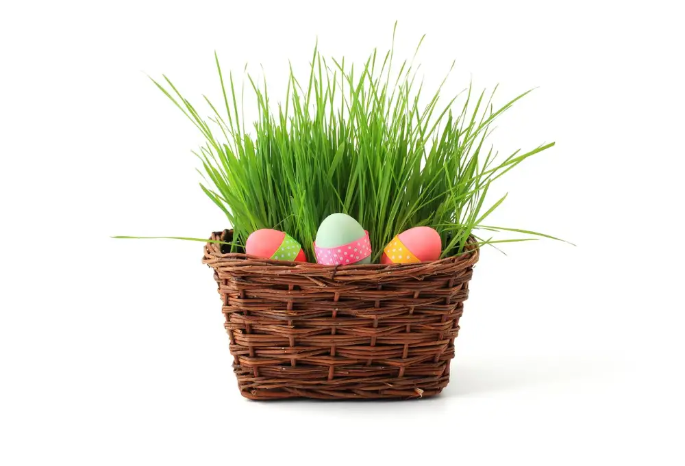 Premade Easter Baskets