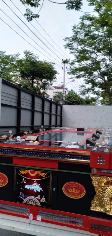 Kiến Vàng 24h