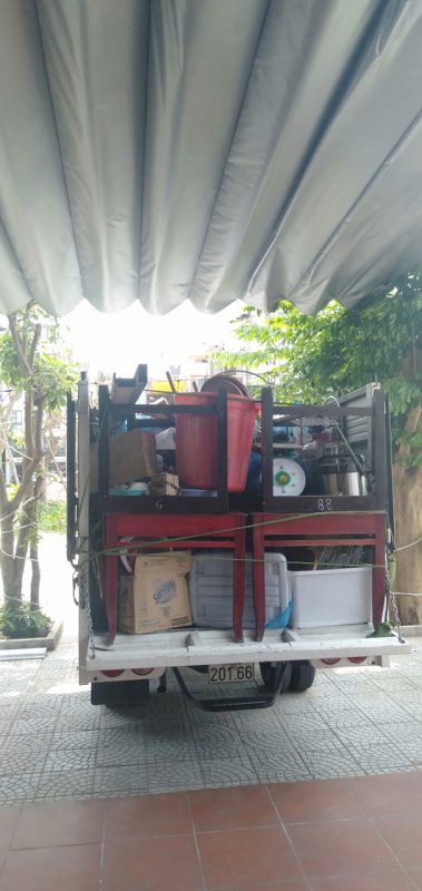 Kiến Vàng 24h