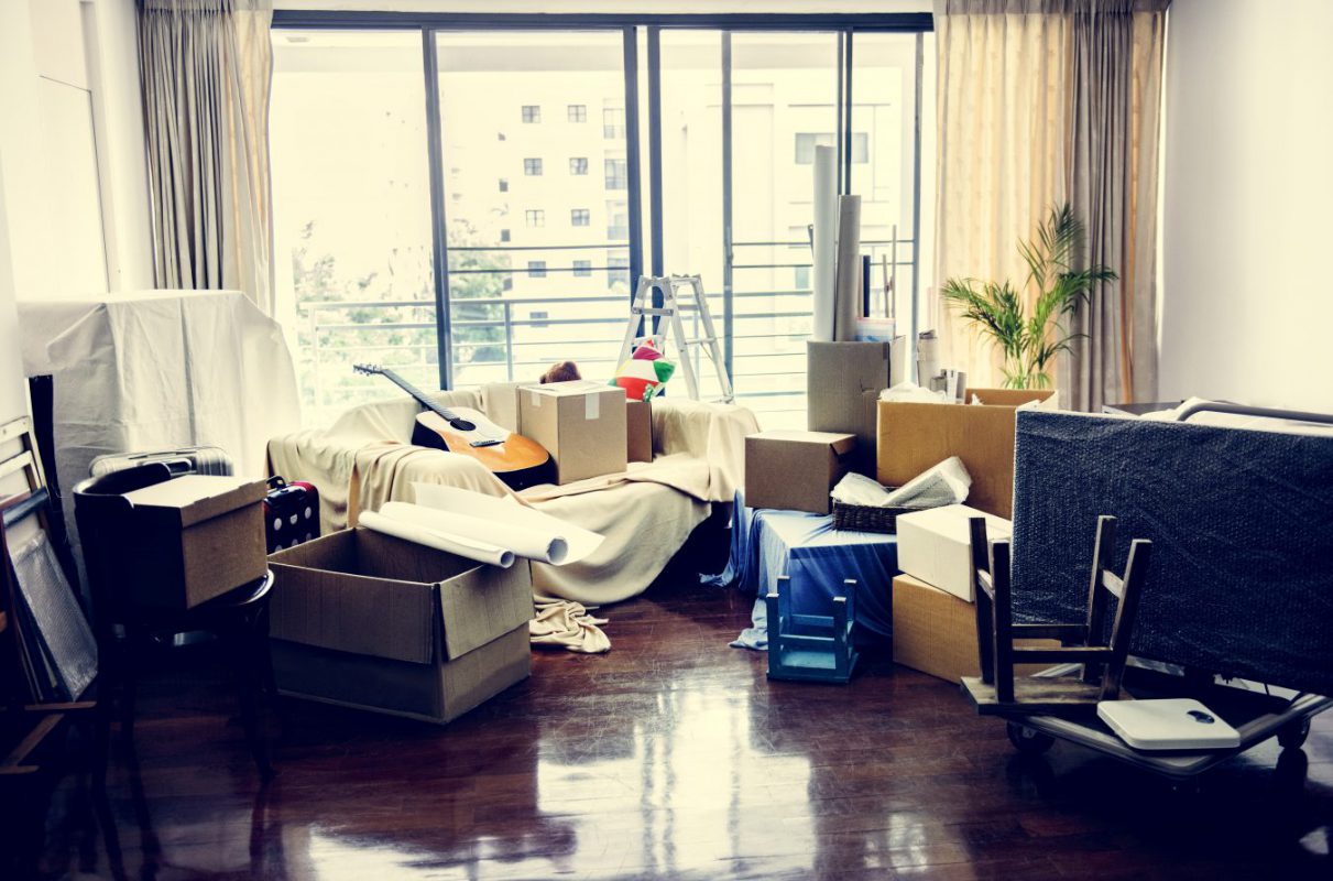 Kiến Vàng 24h