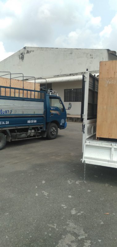 Kiến Vàng 24h